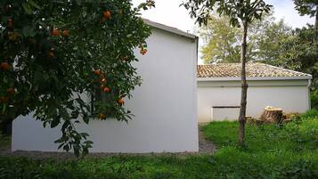 Comfort House, 1 Bedroom | Exterior