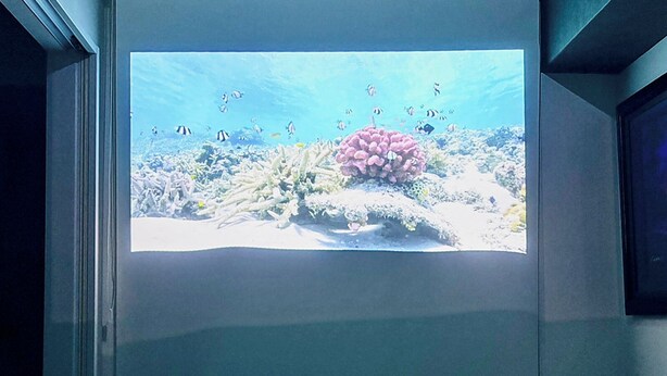 A projection of an underwater scene with coral and fish. - Sakurakan (Kagoshima)