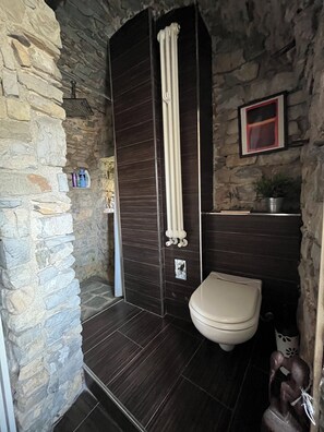 Haartrockner, Bidet, Handtücher, Seife