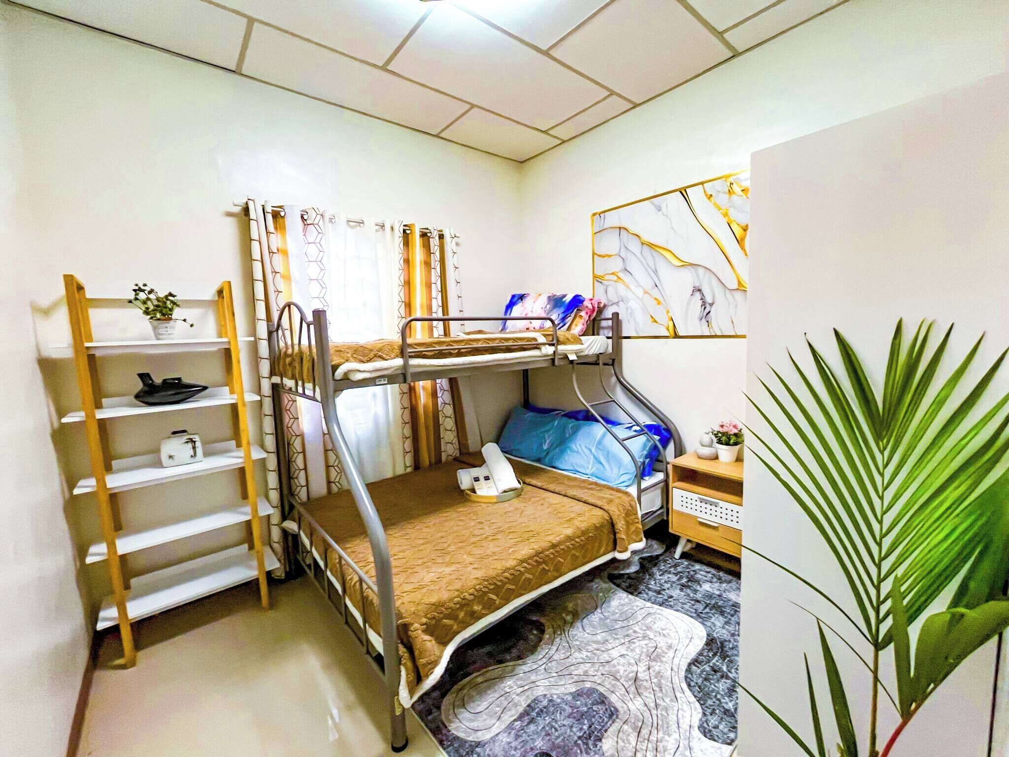 Habitación con literas, una mesita pequeña y una planta.