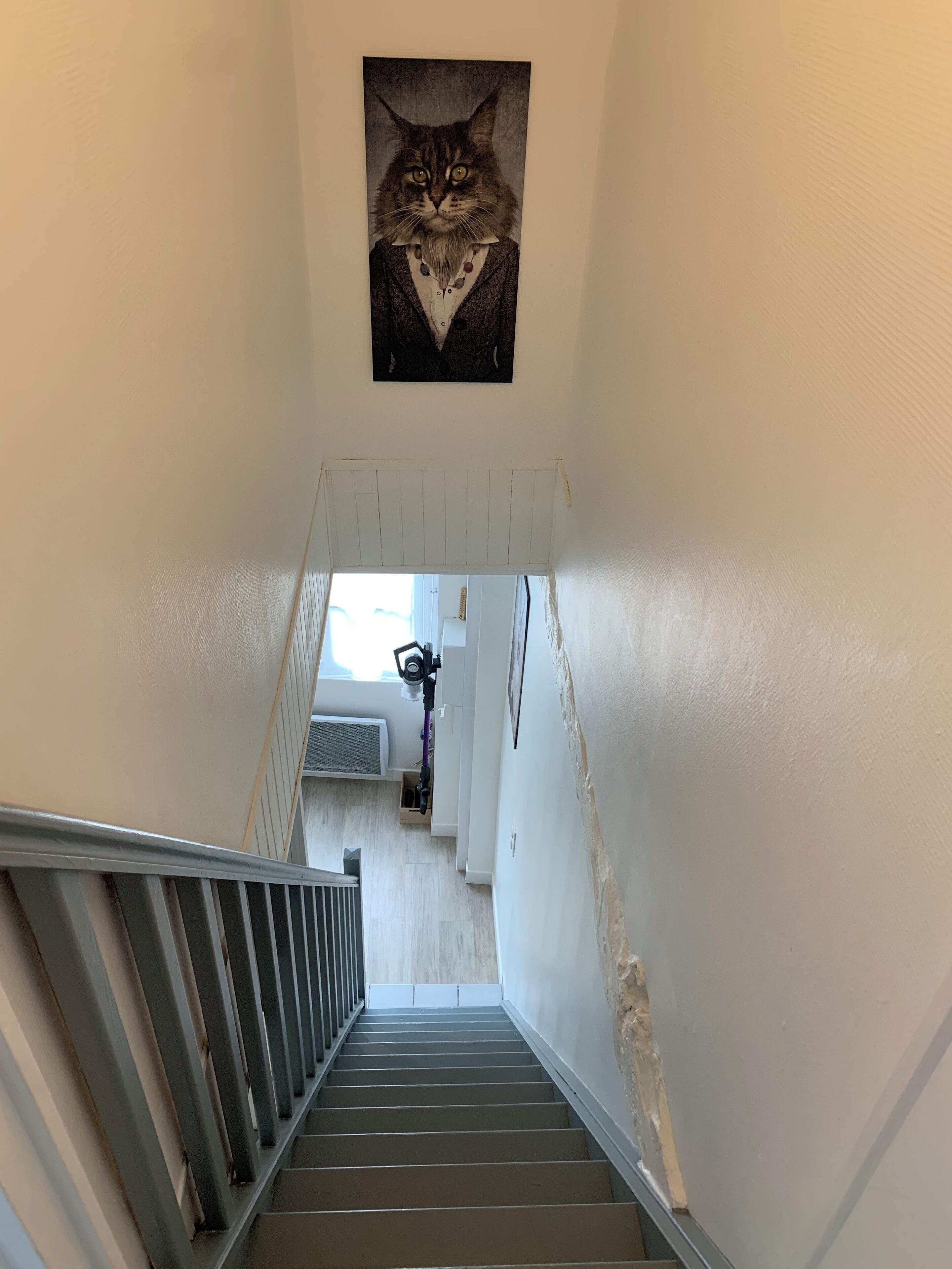 Una escalera con barandilla de metal, un cuadro de un gato y una puerta visible en la parte superior.
