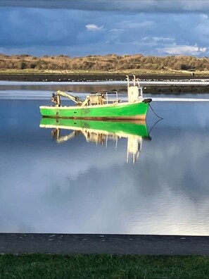 Imagen sin descripción, 5 de 9, botón