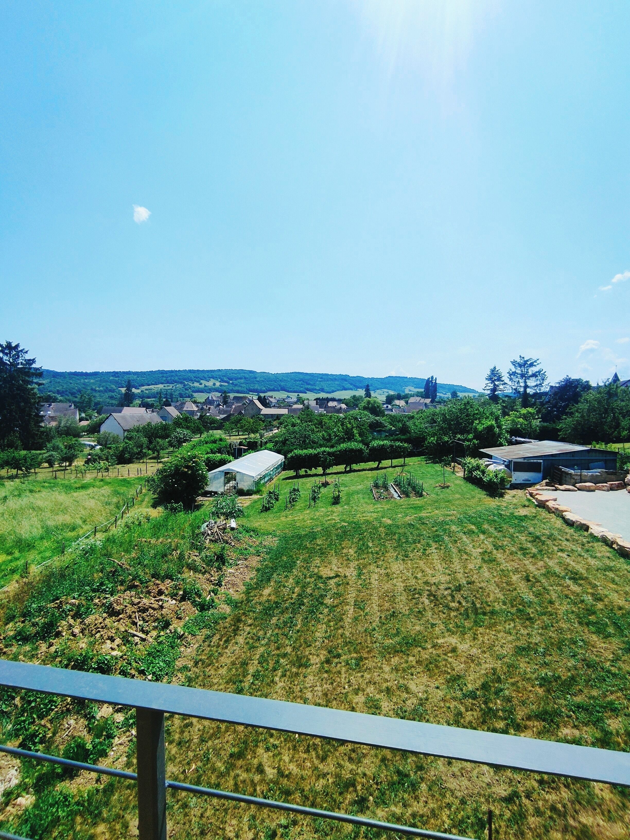 Ländliche Landschaft mit Häusern, Weinbergen und blauem Himmel.