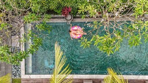 Una piscina rectangular con agua cristalina, rodeada de exuberante follaje y una planta ornamental en el centro.
