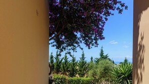Un chemin menant à l’entrée d’un bâtiment, agrémenté de plantes en pot et offrant une vue sur l’extérieur.