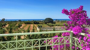 Un balcon offrant une vue sur un paysage côtier, comprenant des champs et une étendue d’eau visible au loin.