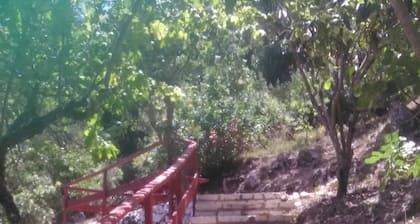 Villa Liana Country House with Sea View