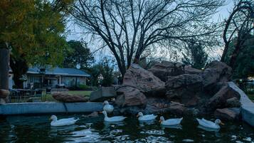 Property grounds