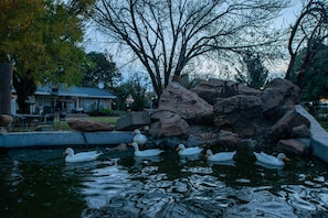 Property grounds - SUN DOWN LODGE & CONFERENCE (Maletswai)