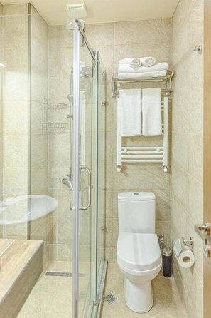 Ducha, secador de pelo, toallas, papel higiénico