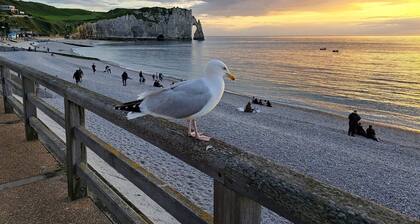 Bel Appartement de charme en RDC pour 6 personnes à Fécamp, proche mer & port