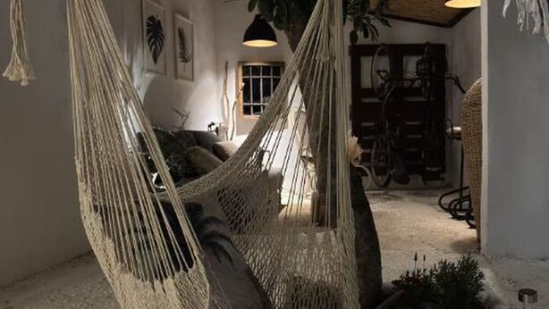 A hammock chair in a room with a rustic design, a bicycle, and a large plant. - A refuge for two between orchard and sea in Valencia, located in P.N.de lálbufera (Valencia)