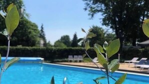 Ein Swimmingpool mit Liegestühlen und Grünflächen im Hintergrund.