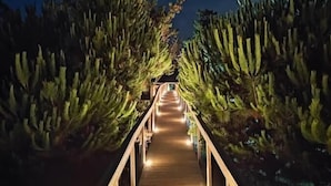 Un sendero de madera bordeado de cactus que conduce a una estructura con luces.
