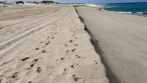 Una playa arenosa con huellas que conducen al agua.