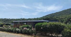 Nicht klassifiziertes Bild, 2 von 19, Schaltfläche