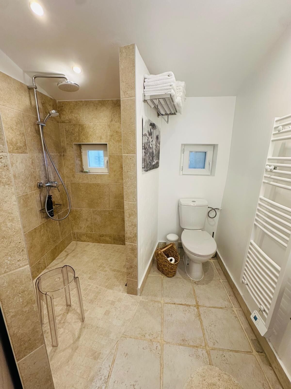 Une salle de bain avec une douche, des toilettes et un radiateur.