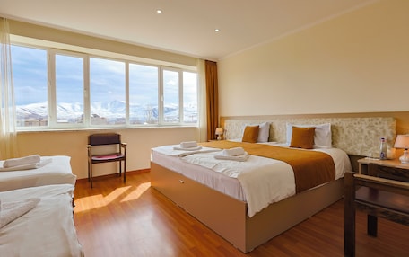 A hotel room with a large bed, a chair, a desk, and a view of a snowy landscape through the window.