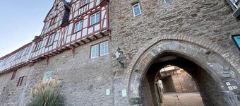 Renovated until May - dream home w. Garden and billiards