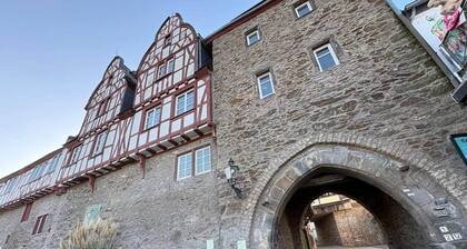 Renoviert bis Mai - Haustraum m. Garten u Billiard