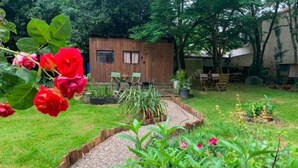 Una cabaña de madera con un camino de grava que lleva a una mesa y sillas verdes.