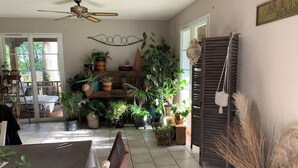 Habitación amplia con mesa de comedor, sillas y ventilador de techo. Varias plantas en macetas están dispuestas en estanterías y en el suelo.