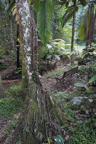 Finch Falls Retreat