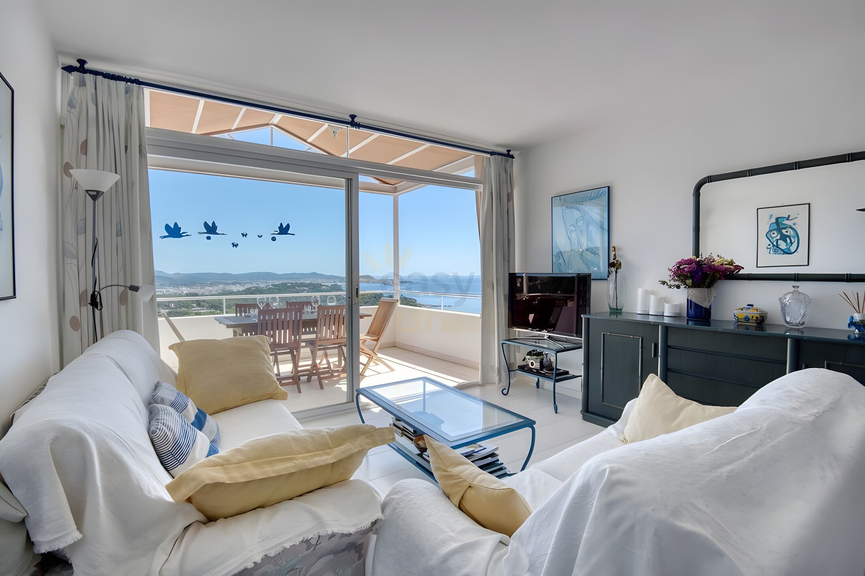 Televisión y reproductor de DVD 