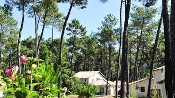 Khuôn viên nơi lưu trú