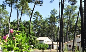 Khuôn viên nơi lưu trú