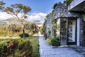 Property grounds - Casa Daniele private garden and rooftop terrace (Forio)