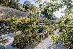 Property grounds - Casa Daniele private garden and rooftop terrace (Forio)