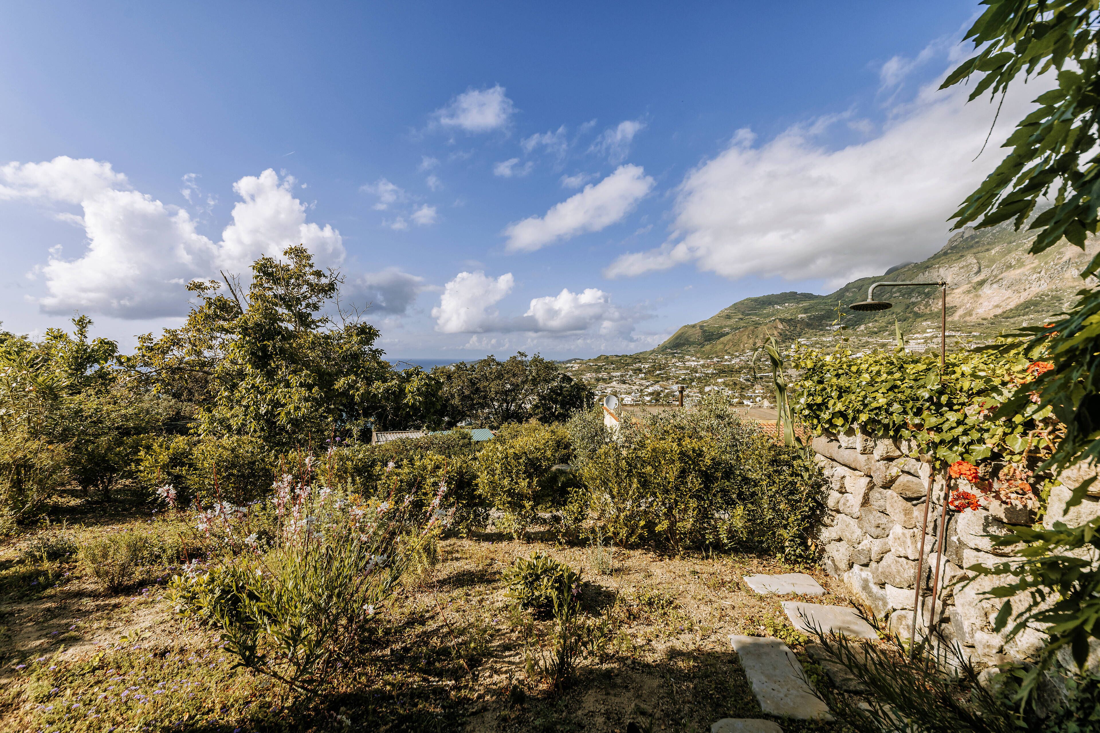 Un giardino con muri in pietra e diverse piante, un cielo sereno e montagne lontane.