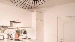 Kühlschrank, Ofen, Herdplatte, Geschirrspüler