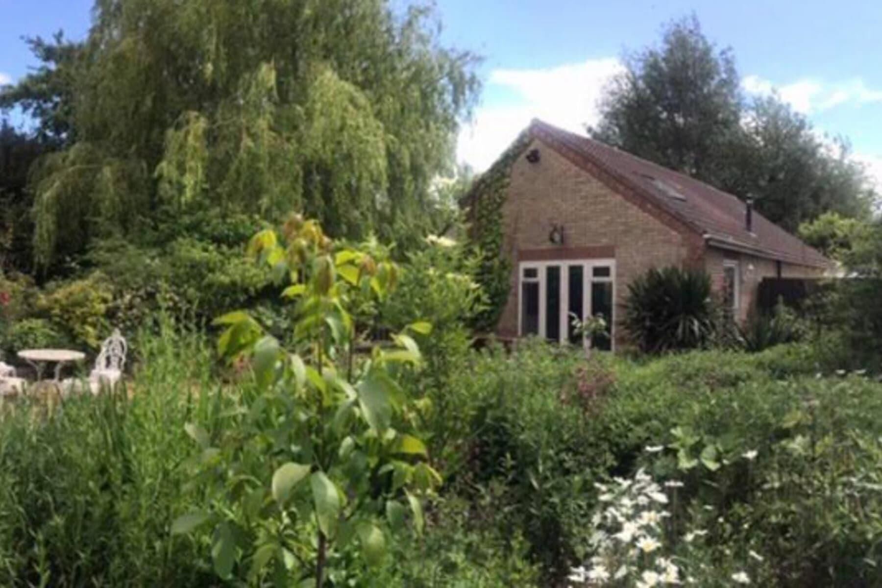 A single-story brick house with a sloped roof, surrounded by dense greenery and trees.