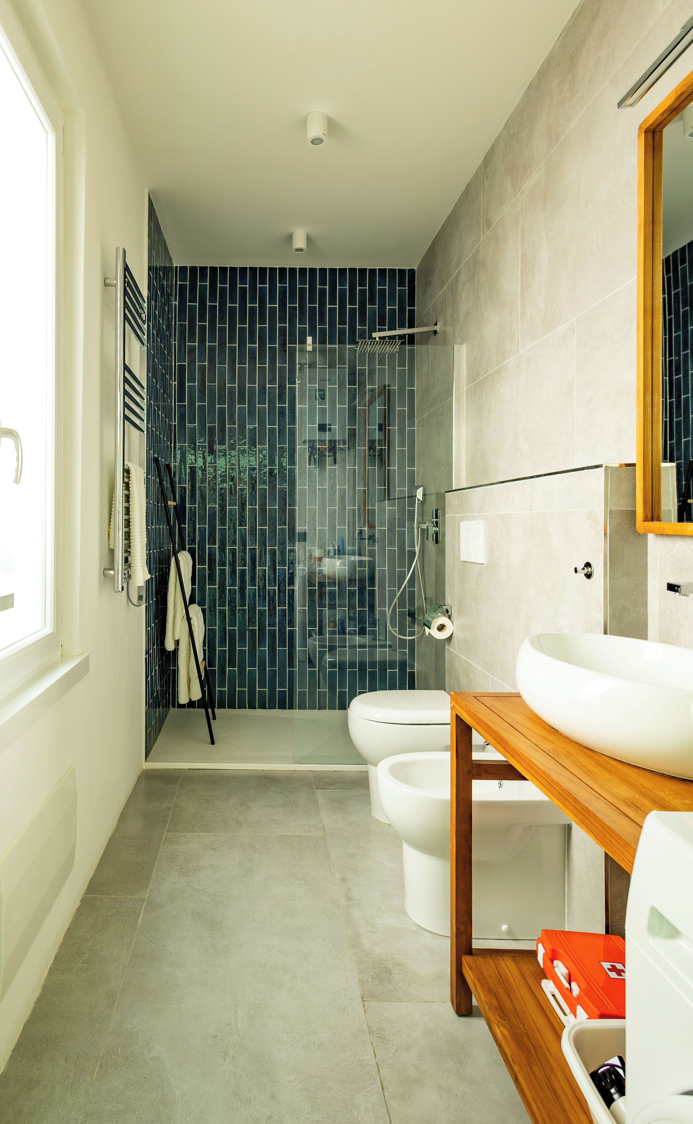 Shower, hair dryer, bidet, towels