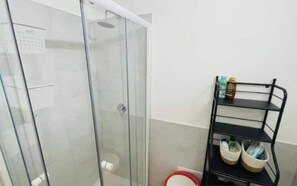 Shower, hair dryer, bidet, towels