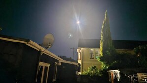 A residential building with a satellite dish, a tall tree, and a clear night sky. - North east valley apartment (Dunedin)