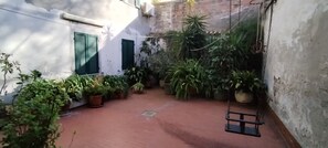 Property grounds - Gatto errante (Pesaro)