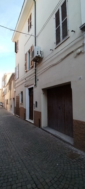 Exterior - Gatto errante (Pesaro)