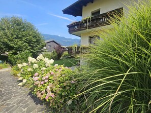Detalle exterior