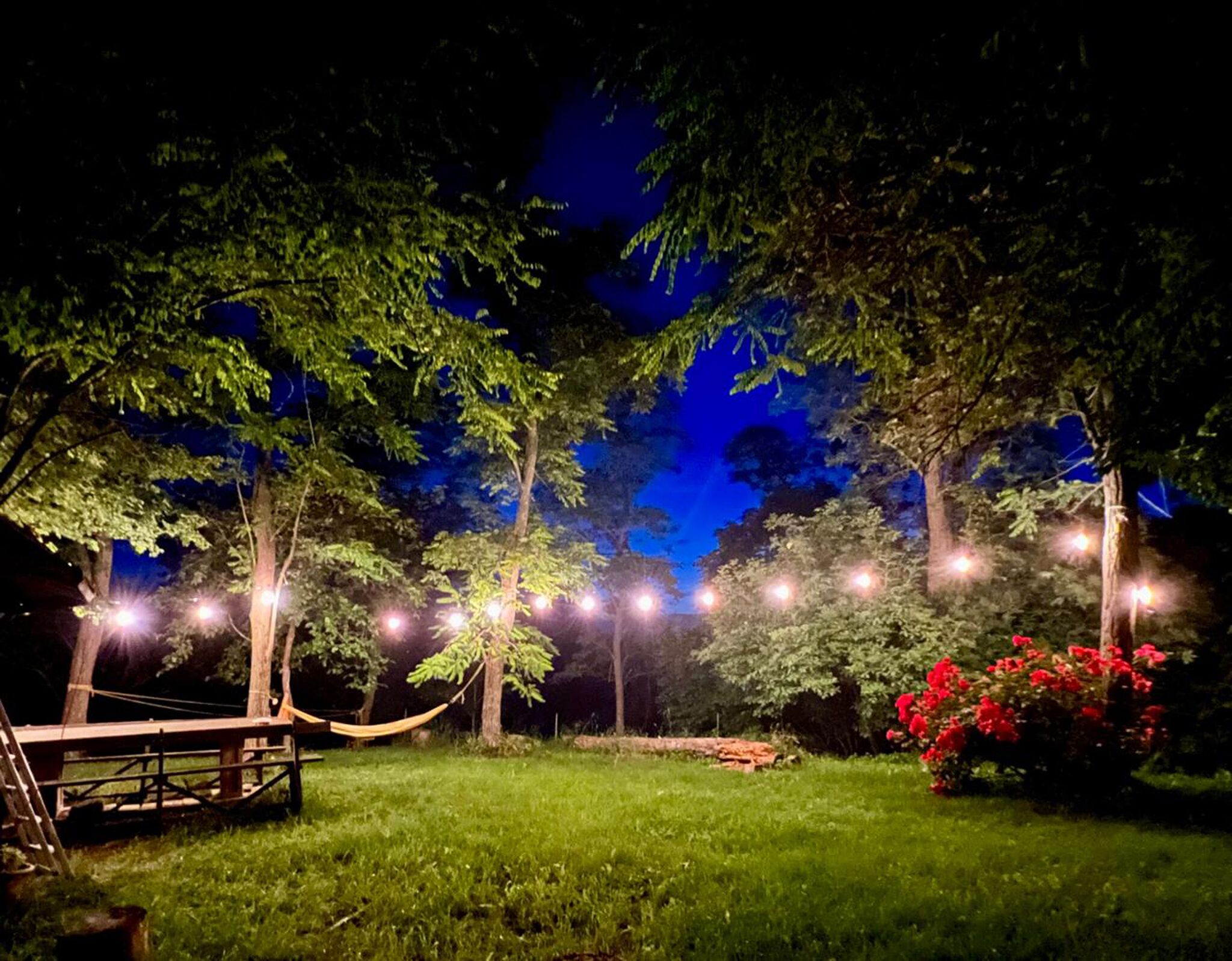 Grill-/Picknickplatz