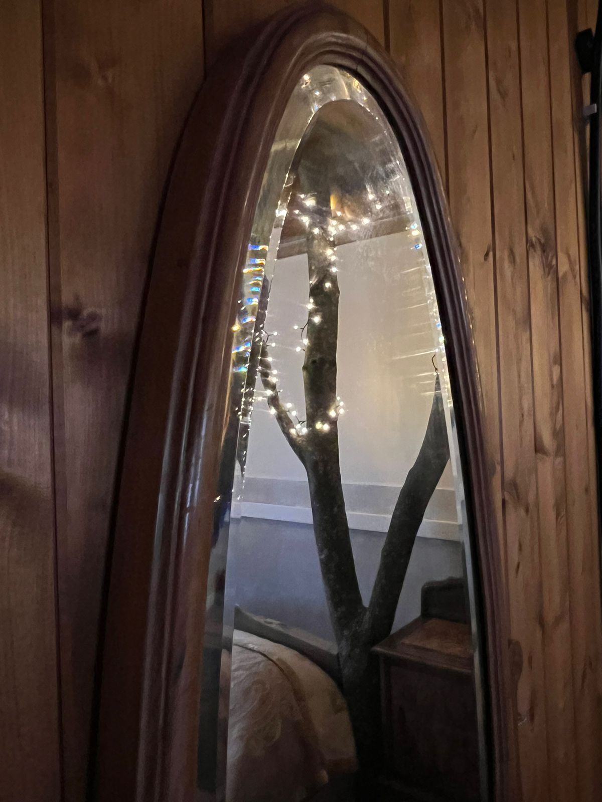 A mirror reflecting a tree with string lights, set against wooden paneling.
