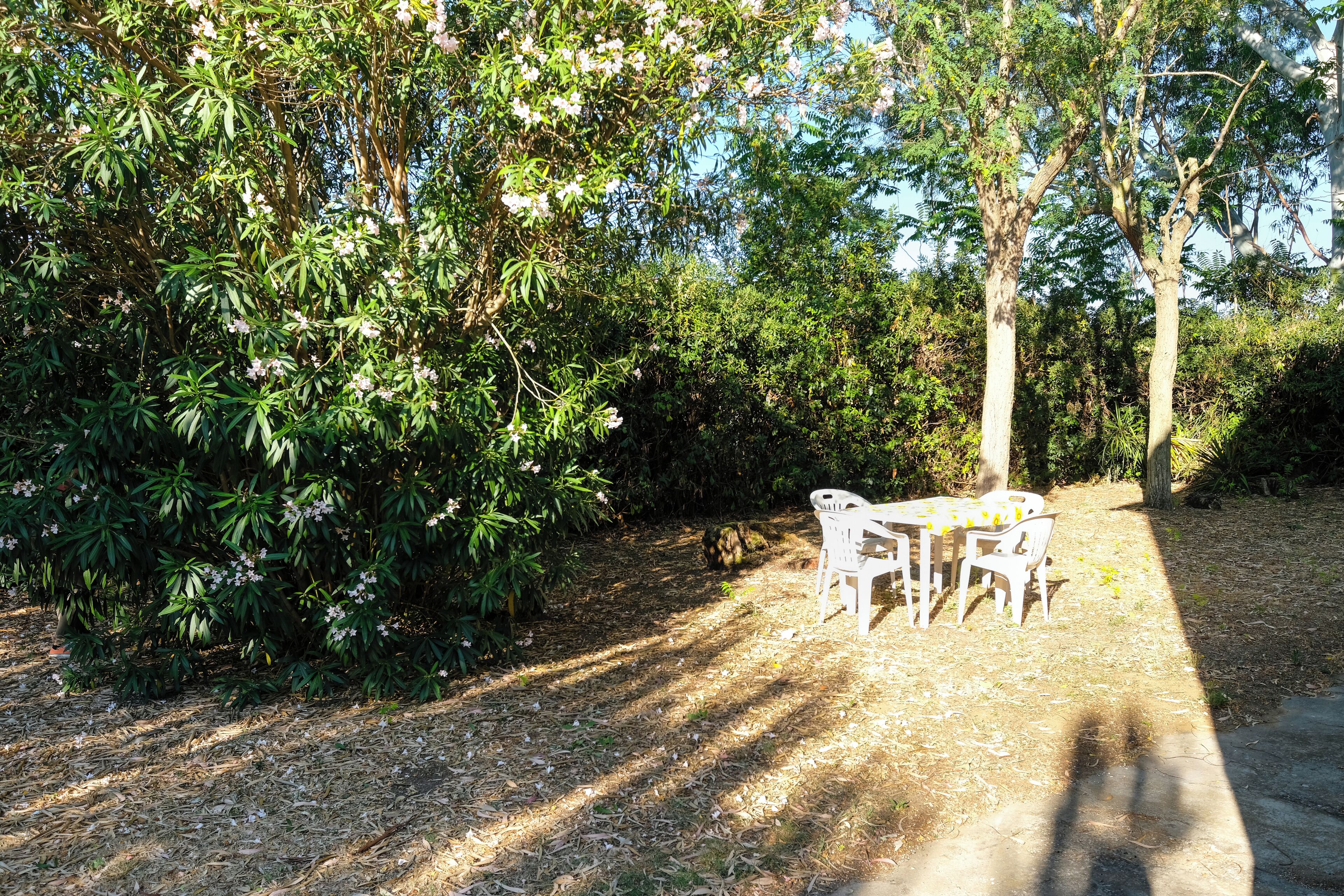 A patio with a table and chairs, surrounded by dense foliage and trees.