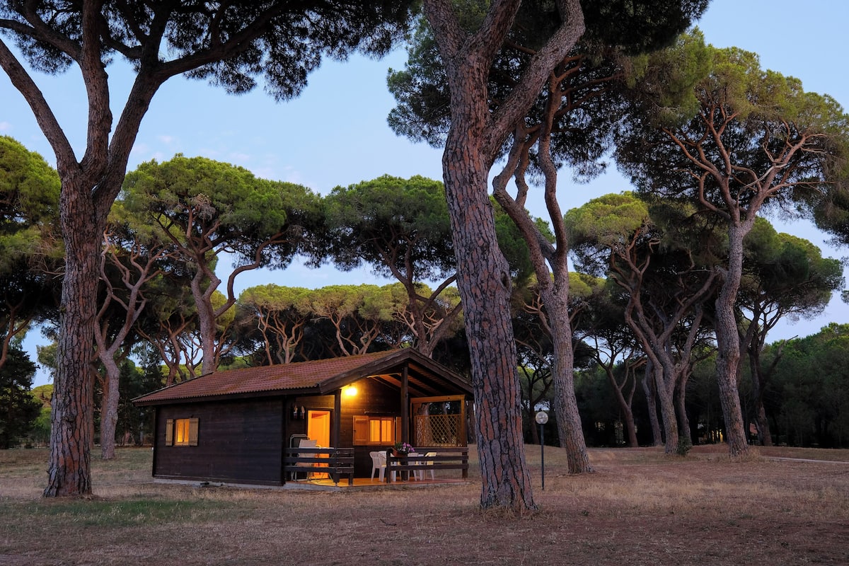 Bungalow | View from room