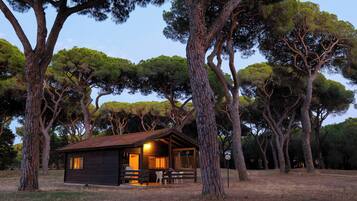 Bungalow | Vista dalla camera