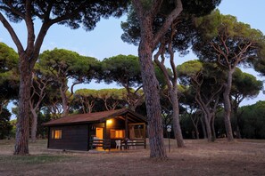 Bungalow | Vue de la chambre