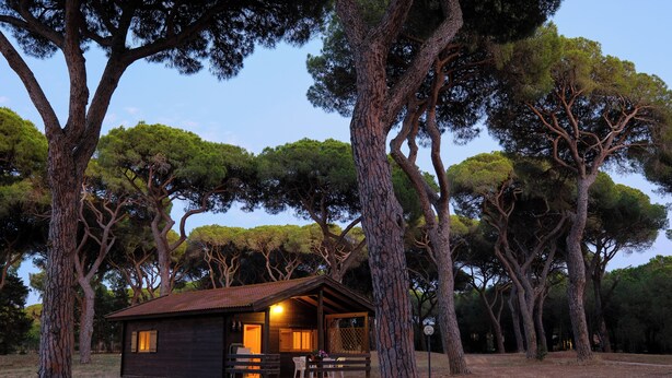 A small cabin with a porch, surrounded by tall trees. - Residence La Canova II (Marina di Grosseto)