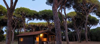 レジデンス ラ カノヴァ II