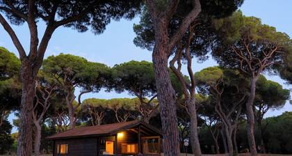 Residence La Canova II